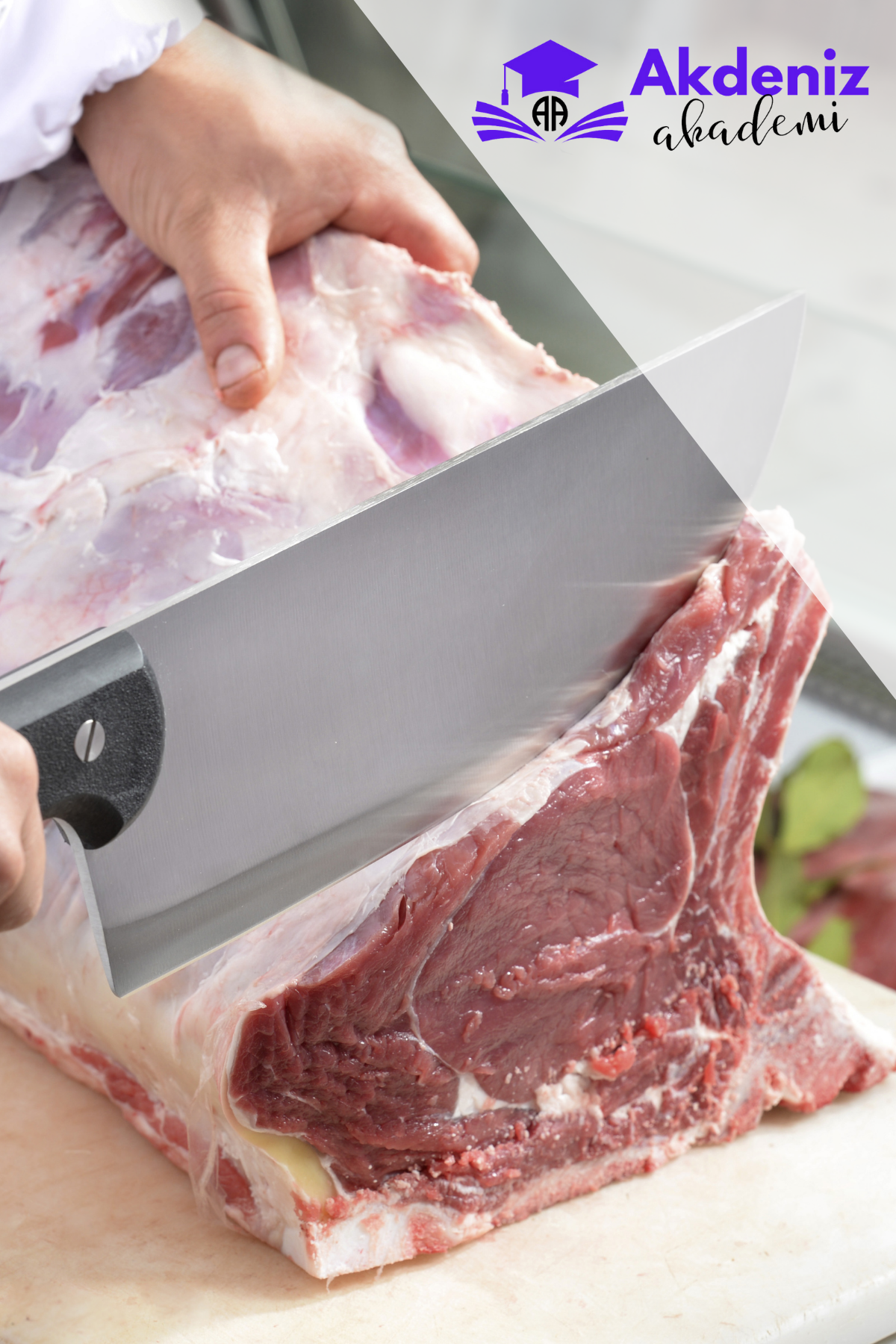 KASAPLIK USTALIK EĞİTİMİ 