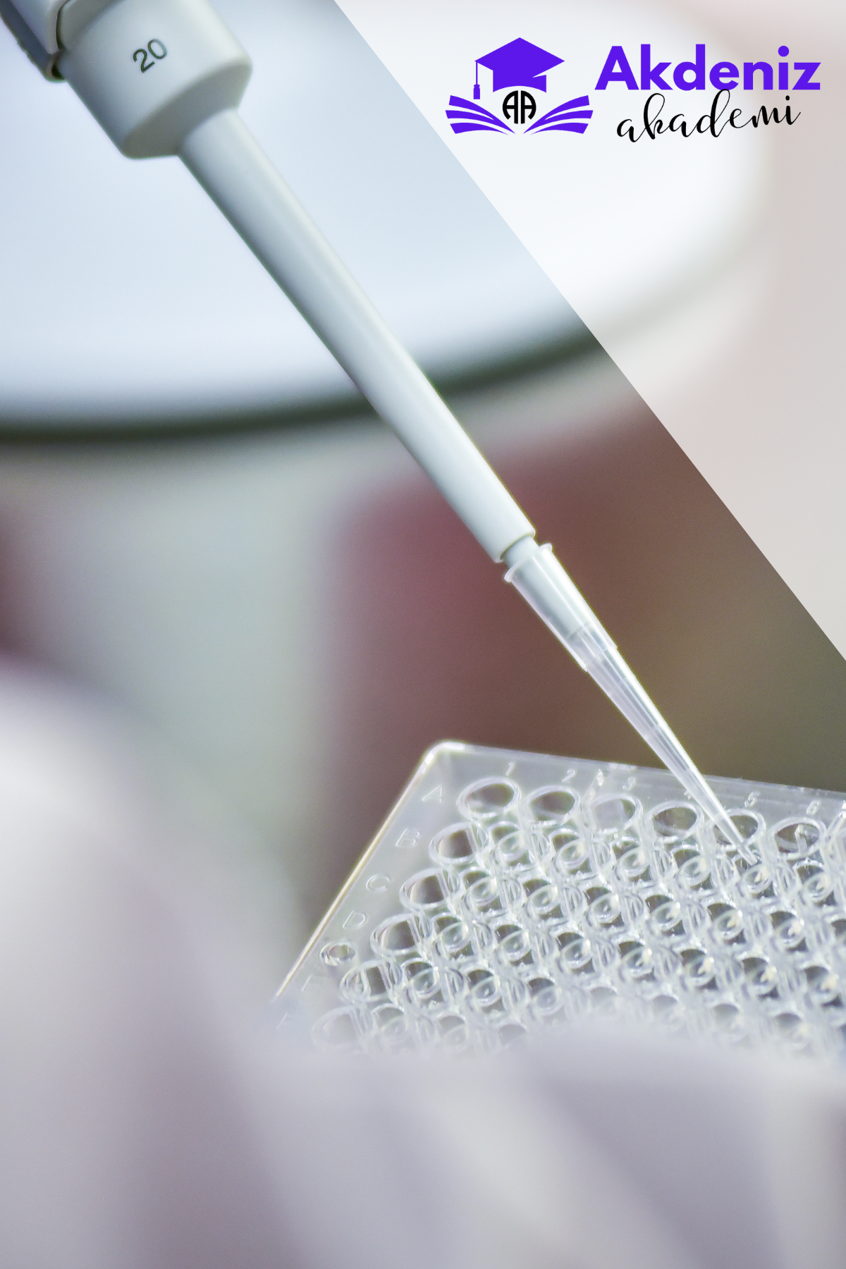 BİYOMEDİKAL KALİBRASYON EĞİTİMİ